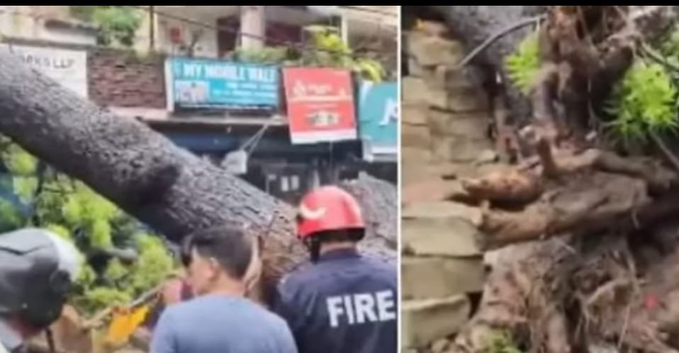 दिल्ली-की-बारिश